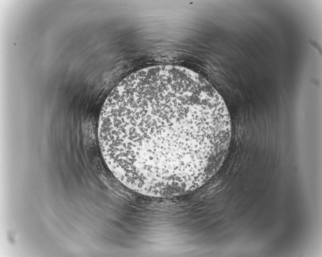 X0000100231106200806271743