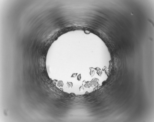 X0000100231110200806271743