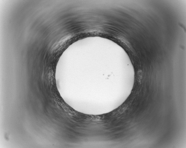 X0000100231111200806271743