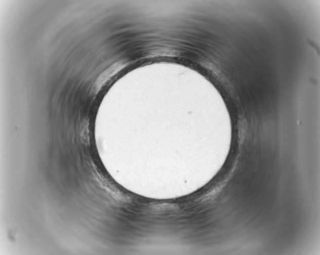 X0000100231113200806271743