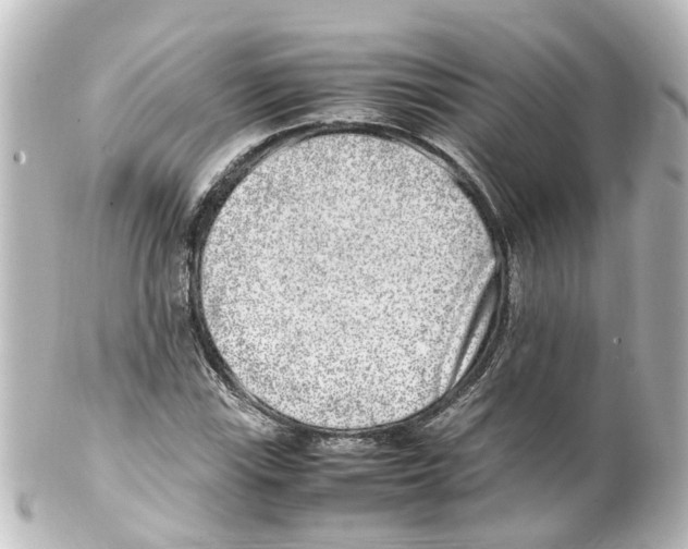 X0000100231115200806271743