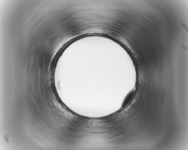 X0000100231116200806271743