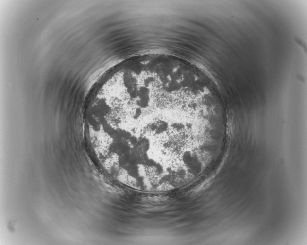 X0000100231117200806271743