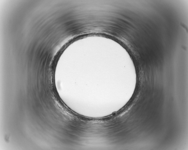 X0000100231118200806271743