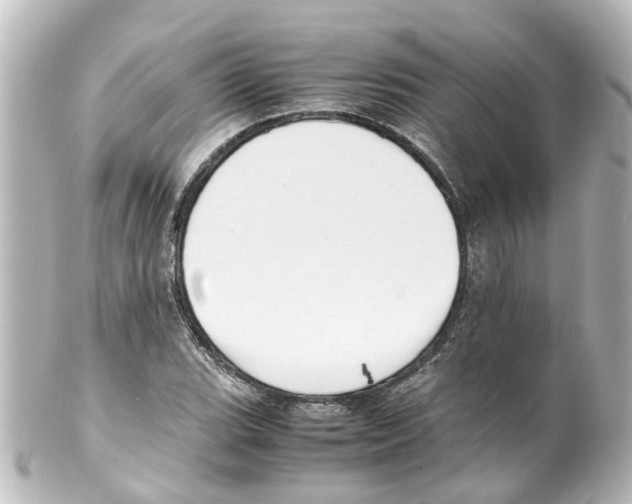 X0000100231119200806271743