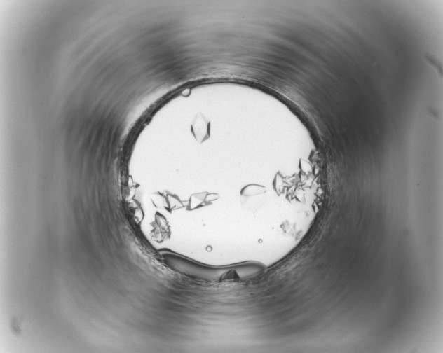 X0000100231120200806271743