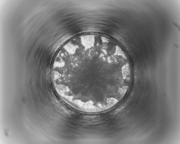 X0000100231121200806271743
