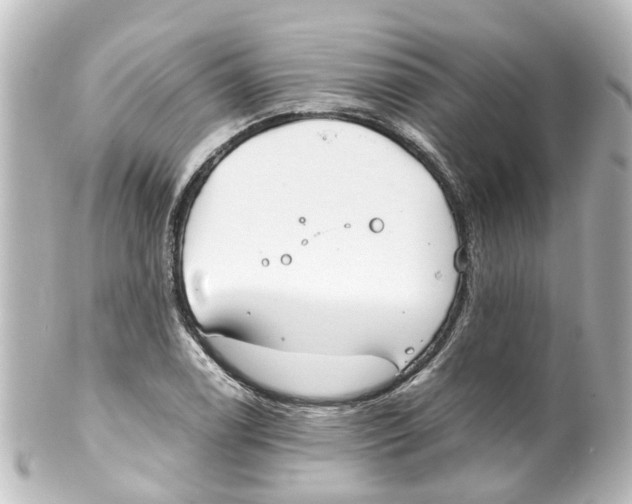 X0000100231122200806271743