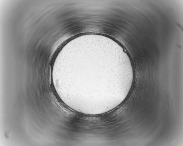 X0000100231123200806271743