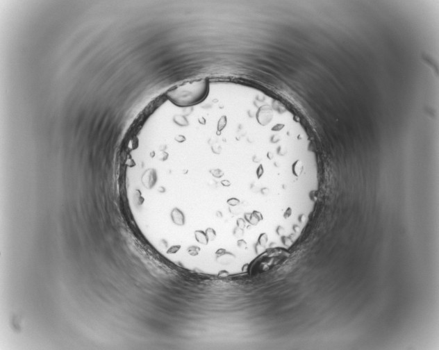 X0000100231124200806271743