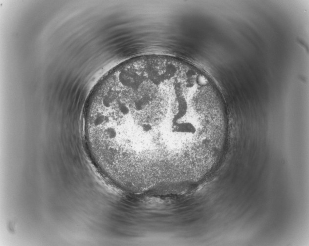 X0000100231125200806271743