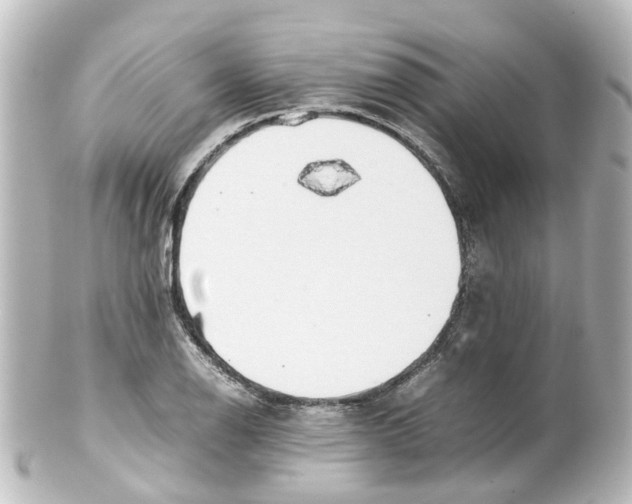 X0000100231126200806271744