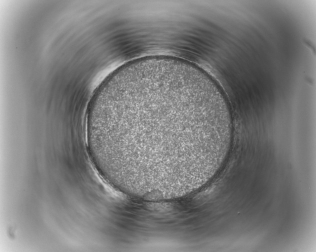 X0000100231127200806271744