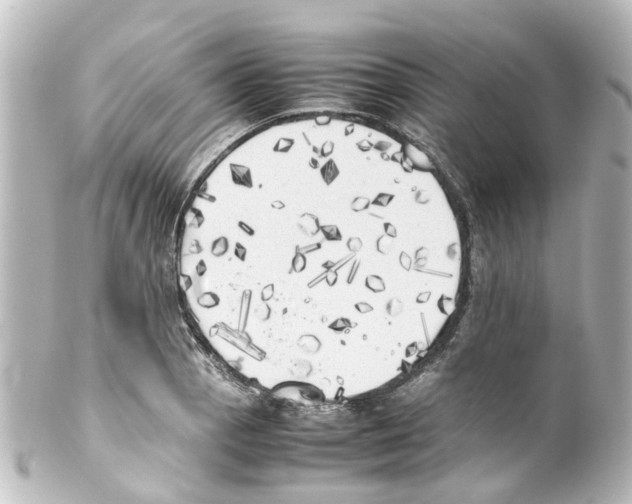 X0000100231129200806271744