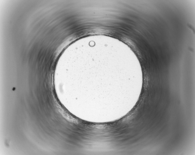 X0000100231130200806271744