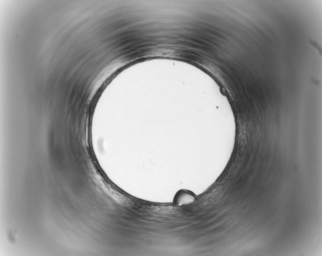 X0000100231131200806271744
