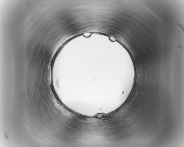 X0000100231132200806271744