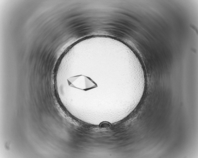 X0000100231133200806271744