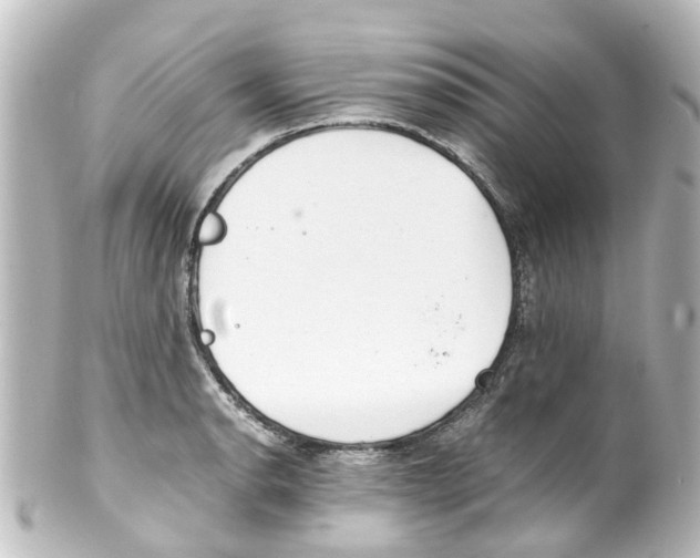 X0000100231134200806271744