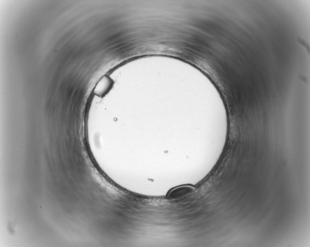 X0000100231136200806271744