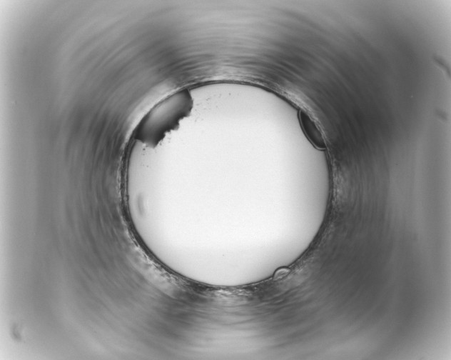 X0000100231138200806271744