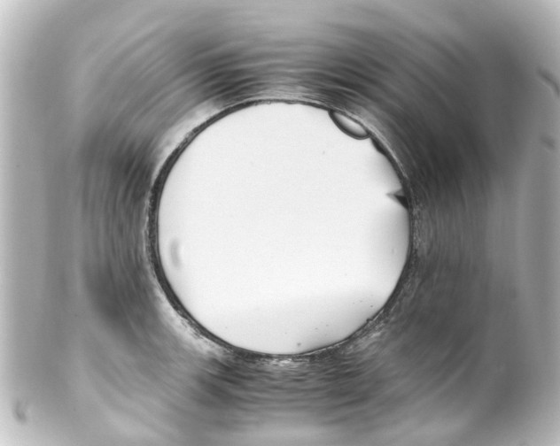 X0000100231139200806271744
