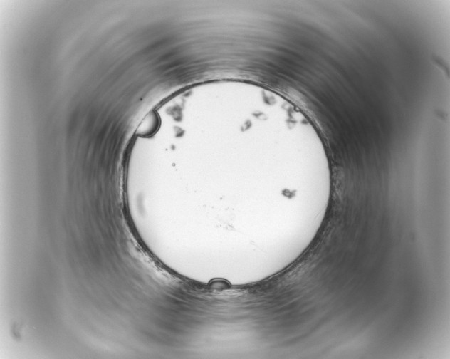 X0000100231140200806271744