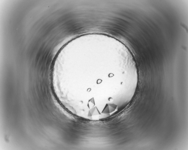 X0000100231142200806271744