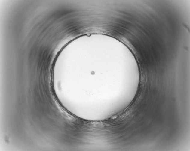 X0000100231144200806271744