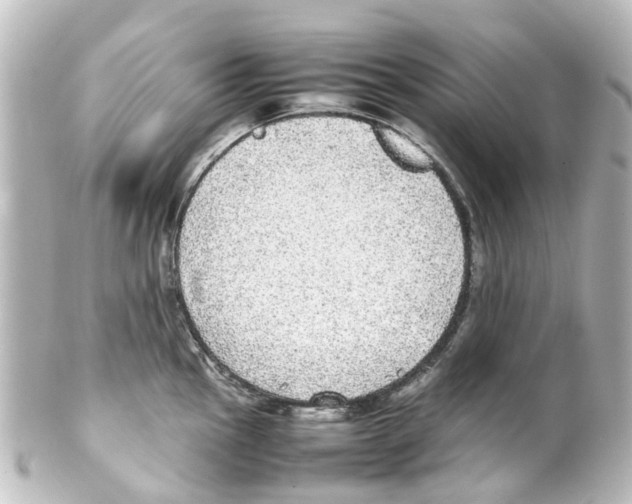 X0000100231145200806271744