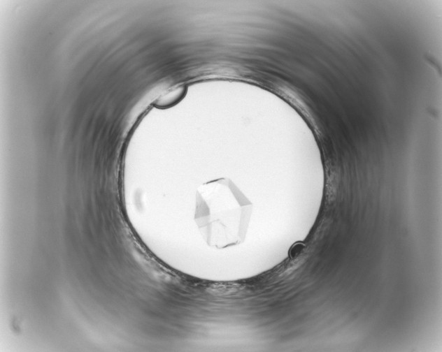 X0000100231146200806271744