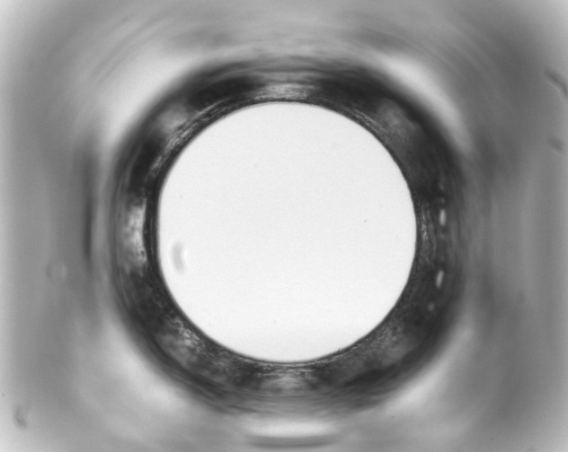 X0000100231150200806271744