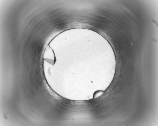 X0000100231152200806271744