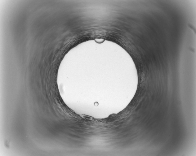 X0000100231153200806271743