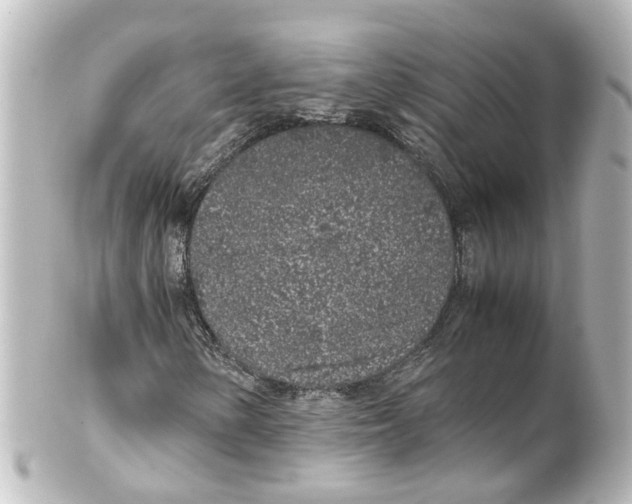 X0000100231154200806271743