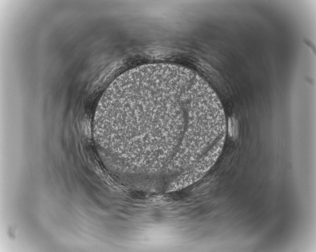 X0000100231155200806271743