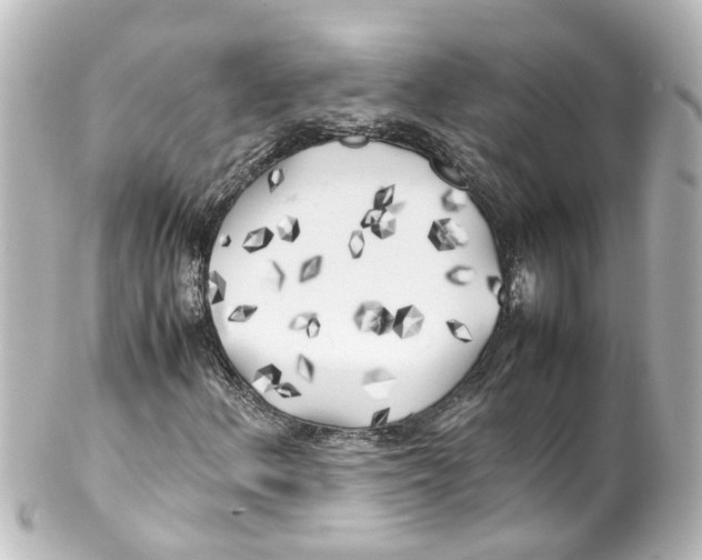 X0000100231156200806271743
