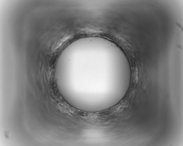 X0000100231157200806271743