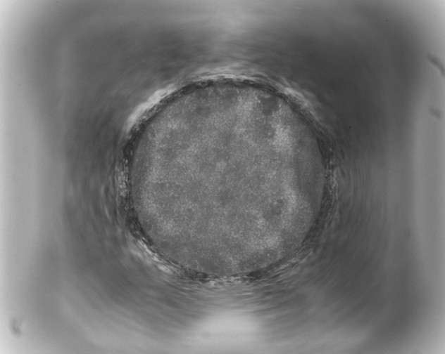 X0000100231159200806271743