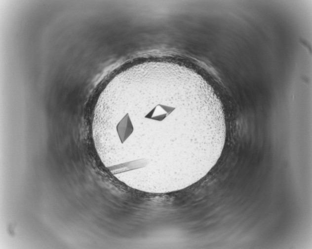 X0000100231160200806271743