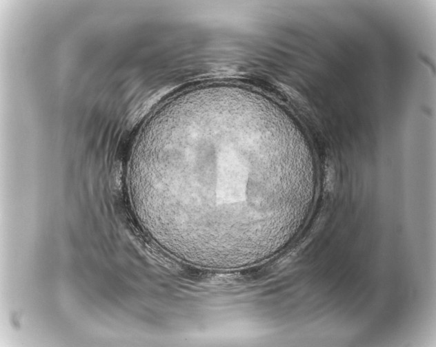 X0000100231161200806271743