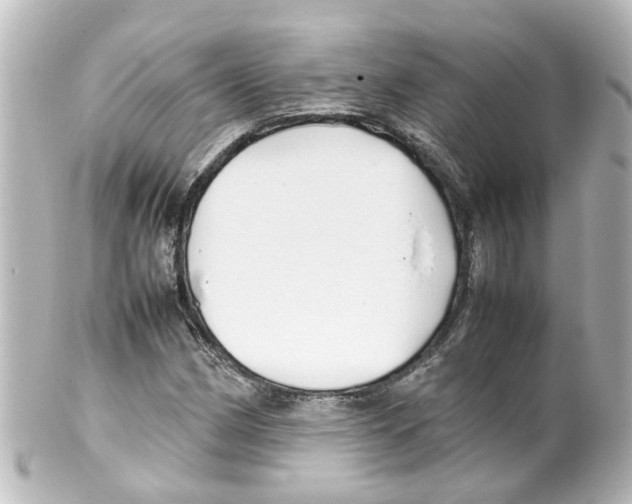 X0000100231162200806271743