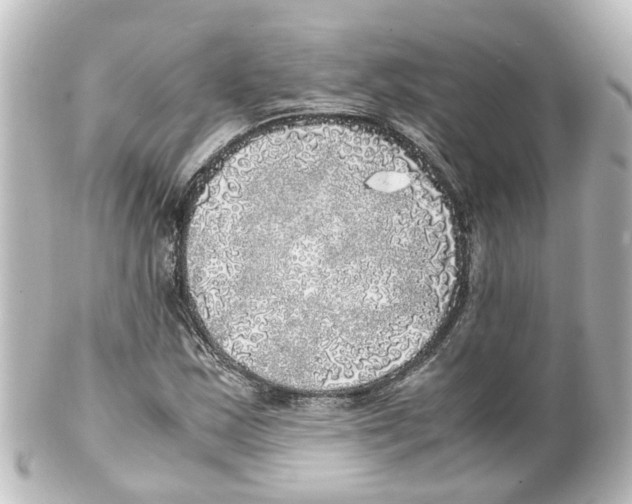 X0000100231163200806271743