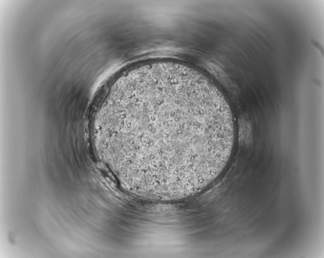 X0000100231164200806271743