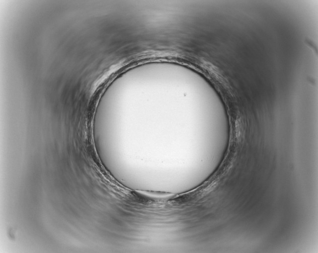 X0000100231165200806271743