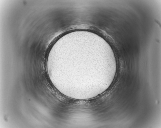 X0000100231166200806271743
