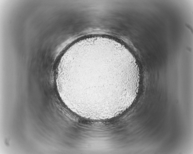 X0000100231167200806271743