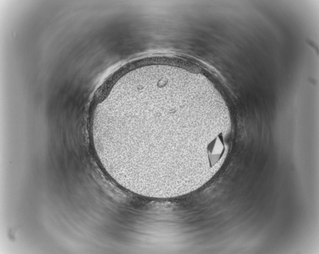X0000100231168200806271743