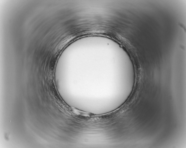 X0000100231169200806271743