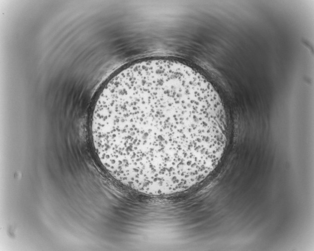 X0000100231170200806271743